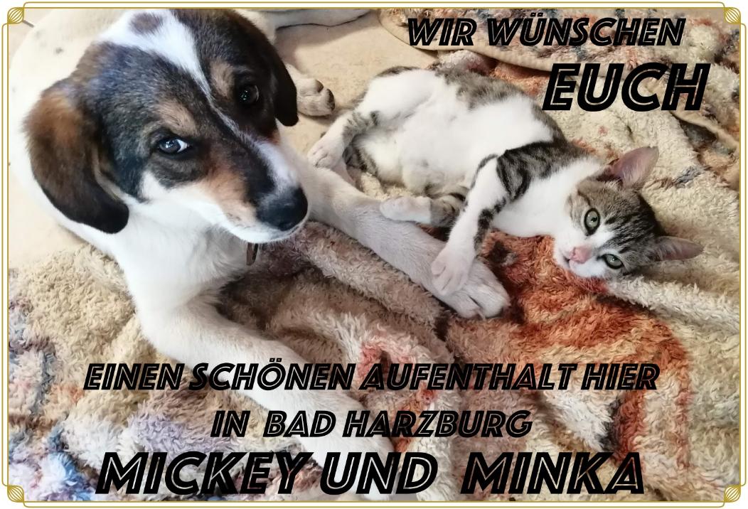 Das ist meine Minka, und meine Mickey Mouse, sie sagen einfach Euch ein liebes "Hallo"