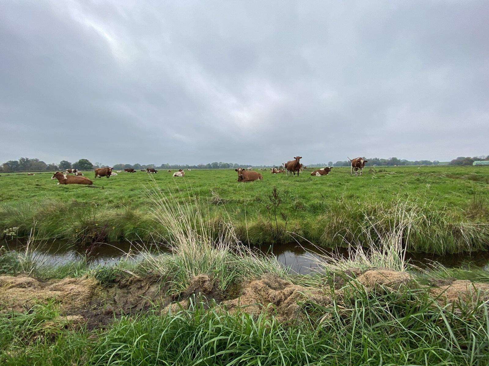 Landschaft