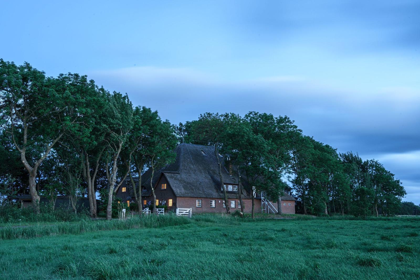 Haus mit strohgedecktem Dach und erleuchteten Fenstern inmitten von Bäumen und Grasland.