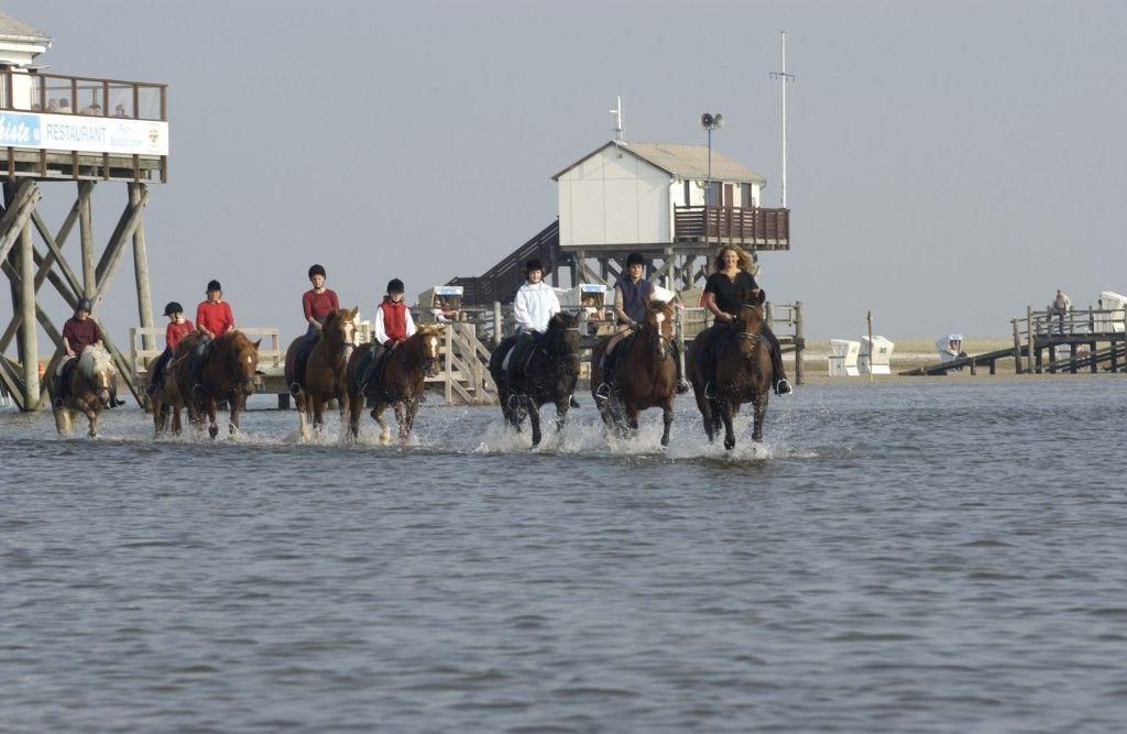 Reiter mit Pferden durch Wasser vor Steg und Restaurant
