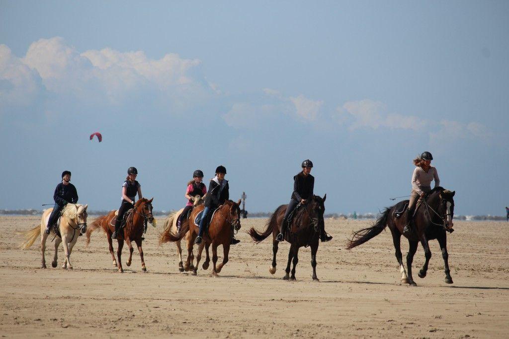 Fünf Reiter auf Pferden im Sand. Ein Kitesurfer ist im Hintergrund sichtbar.