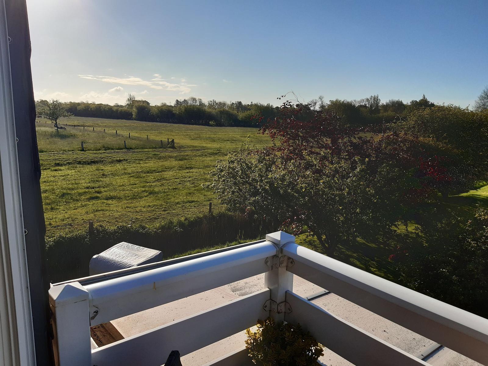 Blick von Balkon auf grünes Feld und Bäume unter blauem Himmel.