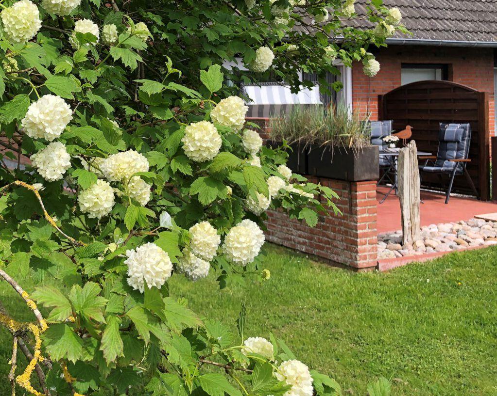 Haus mit Garten, Blumenstrauß und Terrasse mit Sitzgelegenheit.