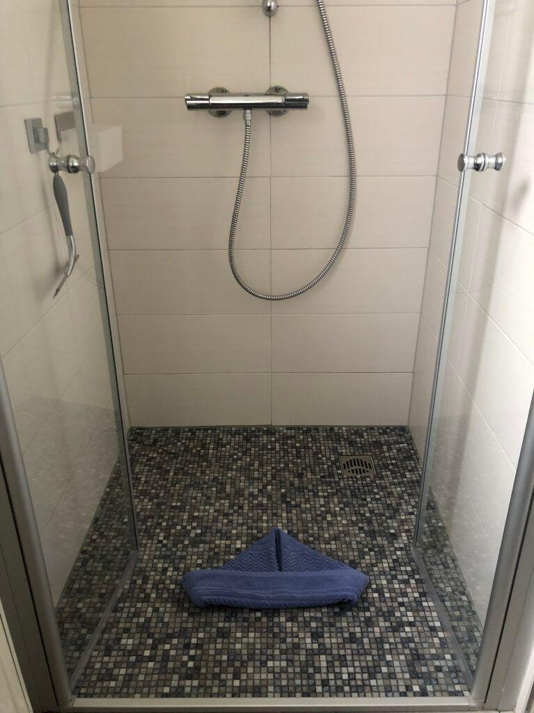 Duschkabine mit Mosaikboden und Handdusche.