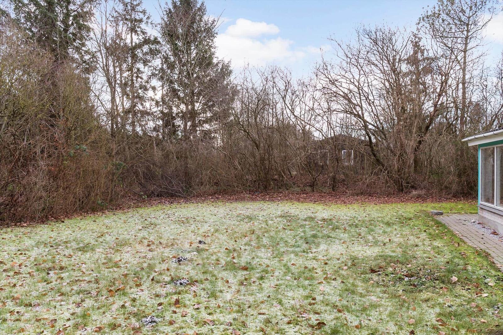 Grasfläche mit Frost und Blättern, umgeben von Bäumen und Sträuchern. Teil eines Hauses rechts sichtbar.