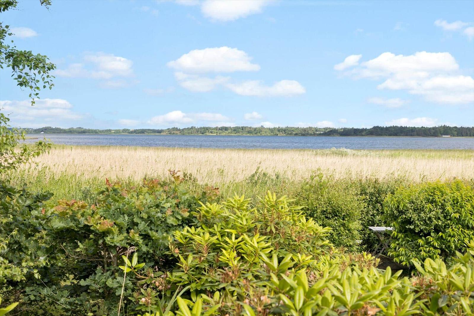 Weitläufiger See mit Grasland und Bäumen im Hintergrund unter blauem Himmel.