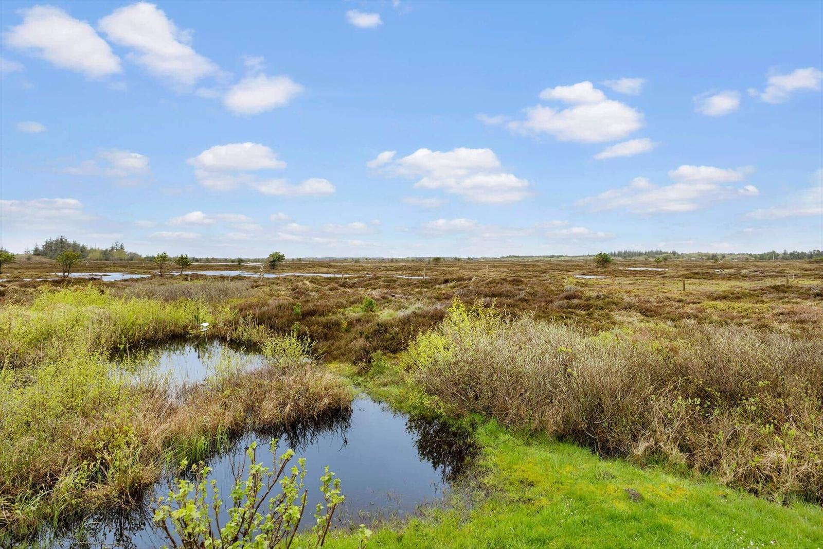 Weitläufiges Moor mit Wassergräben und grüner Vegetation unter blauem Himmel mit weißen Wolken.