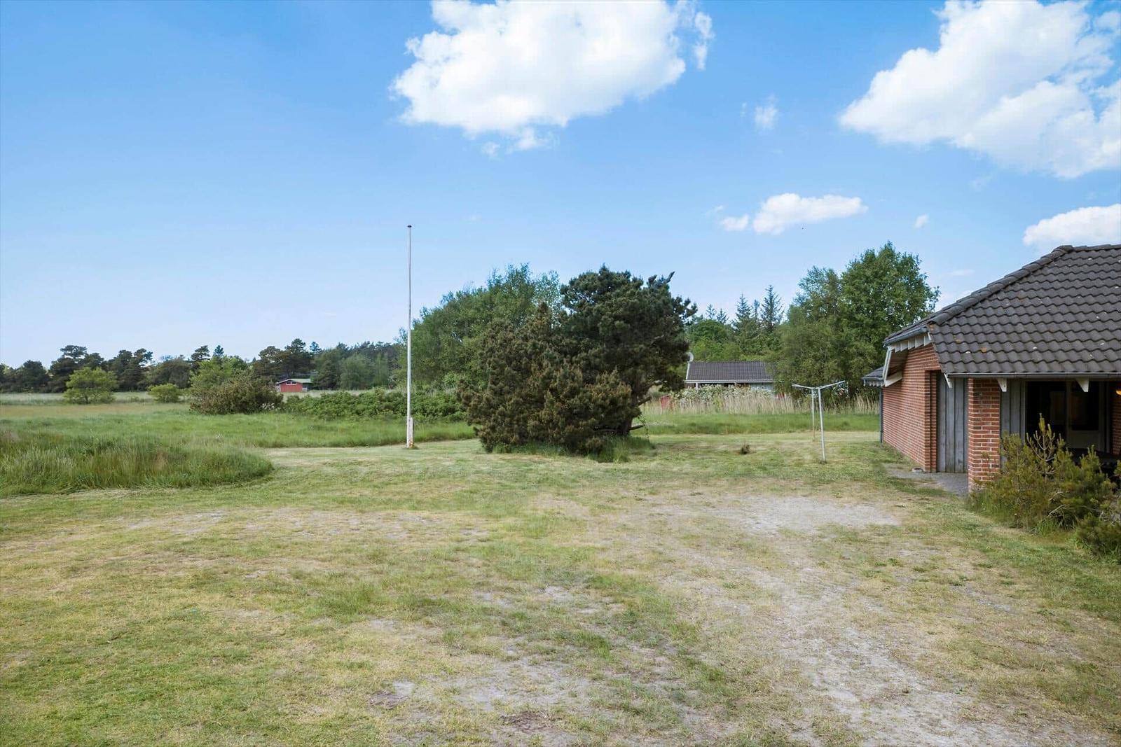 Grüner Garten mit Haus und Baum unter blauem Himmel.