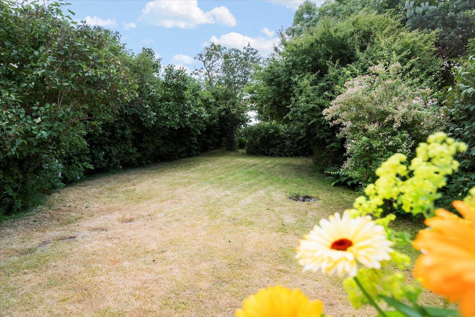 Grüner Garten mit Blumen und Bäumen unter blauem Himmel.
