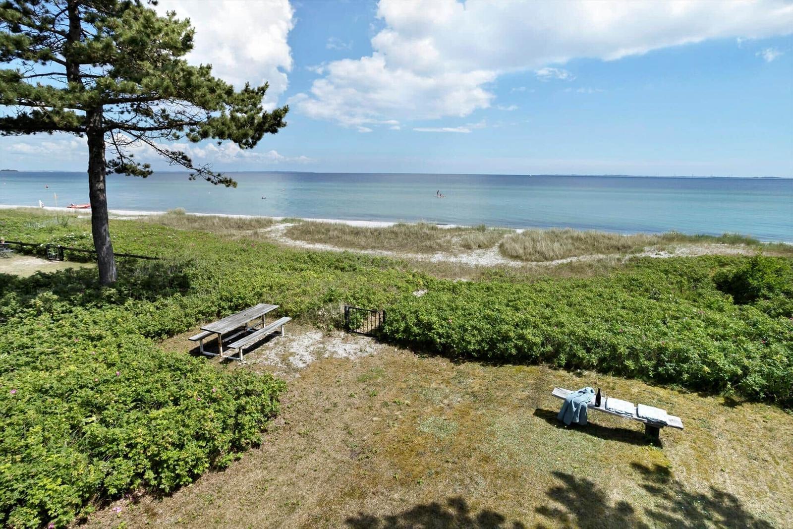 Grüner Garten mit Picknicktisch und Liegeplatz direkt am Strand. Blick auf das Meer und einen Baum.