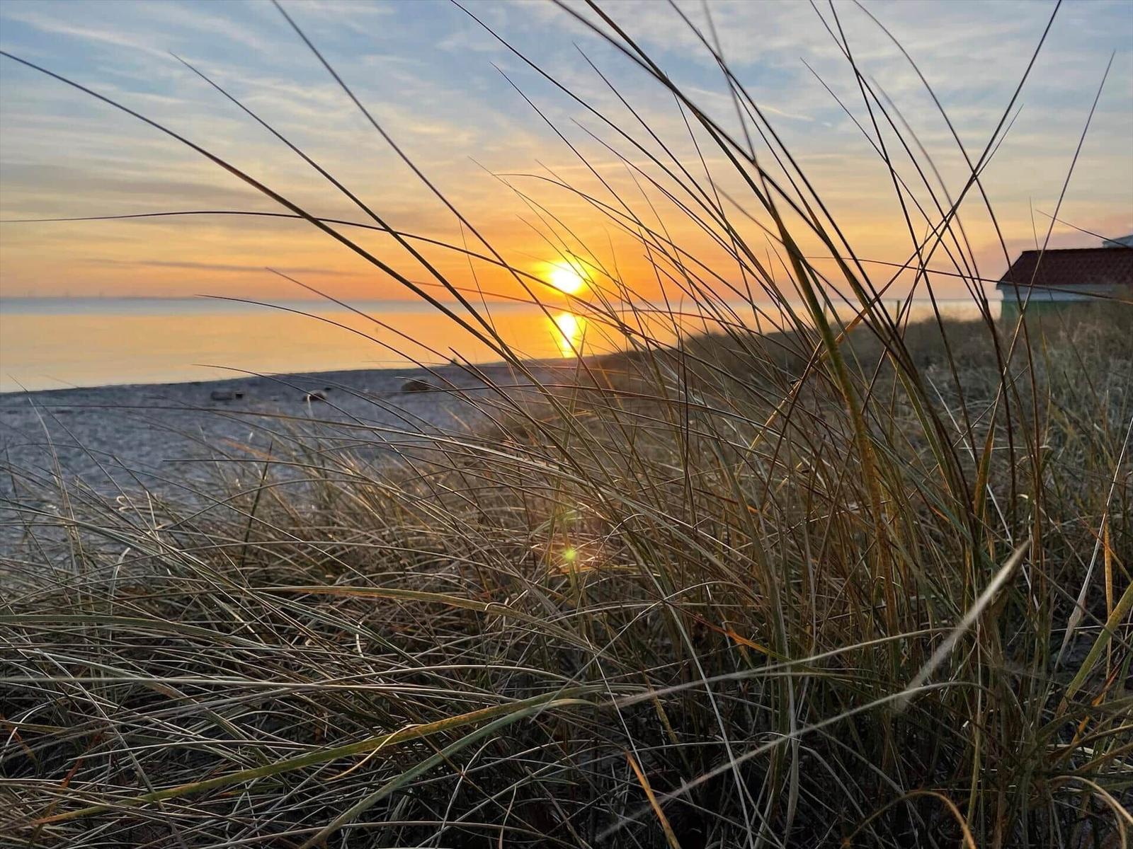 Sonnenuntergang über dem Strand mit Dünen gras und einem Haus im Hintergrund.