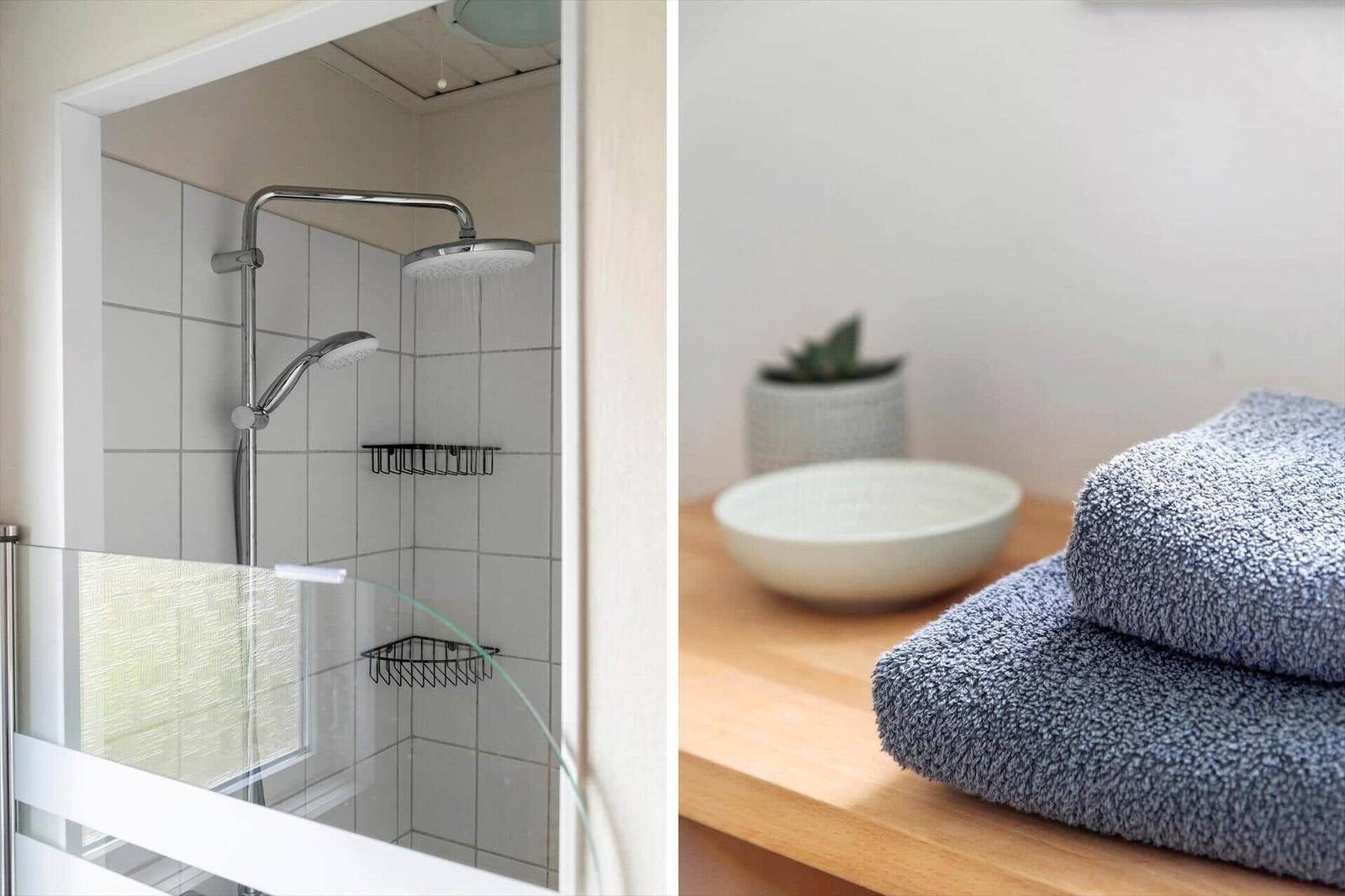 Shower with overhead and handheld showerhead. Sink with towel and plant.