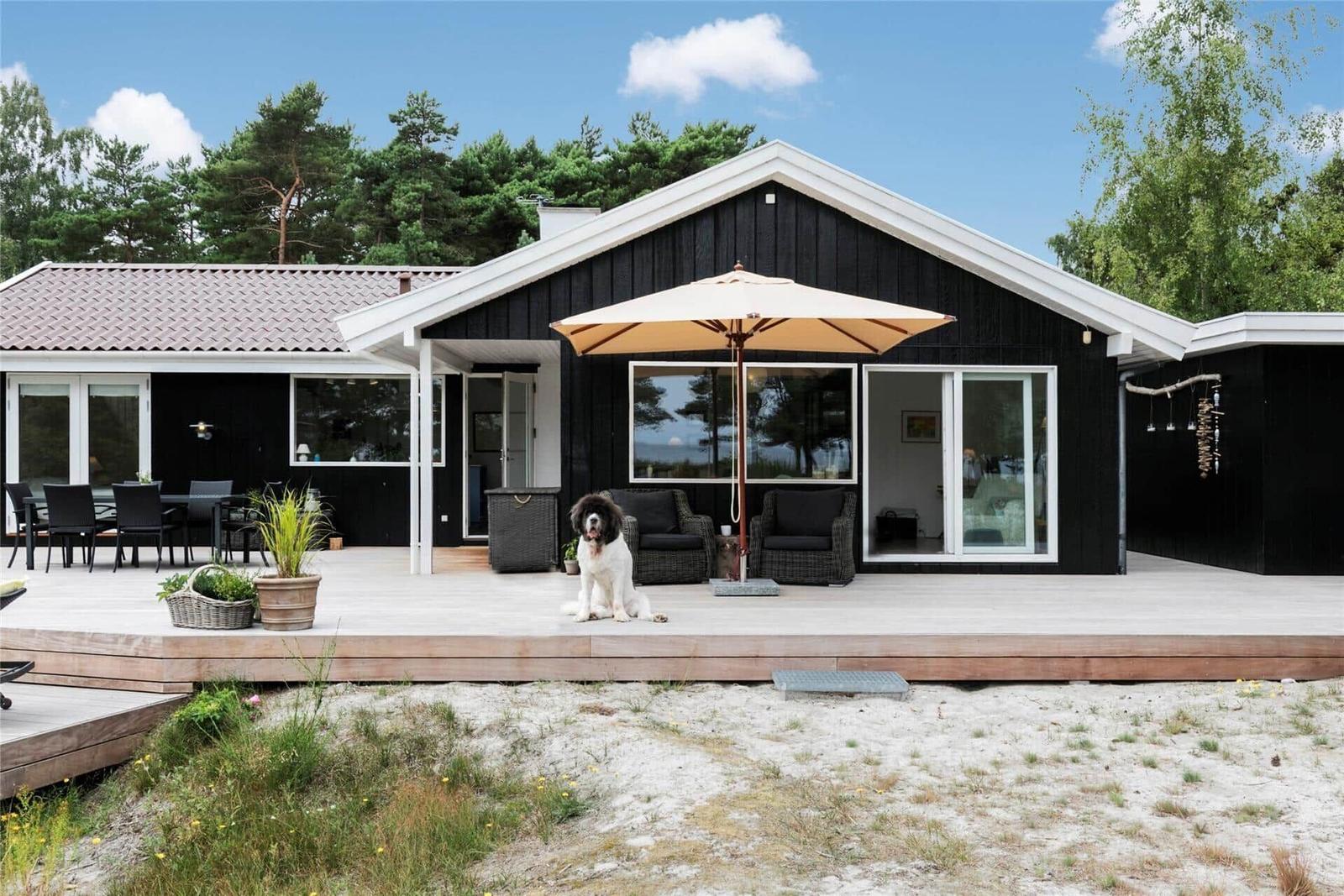 Schwarzes Haus mit Terrasse, Sitzgelegenheiten und einem Hund. Hintergrund: Bäume und Himmel.