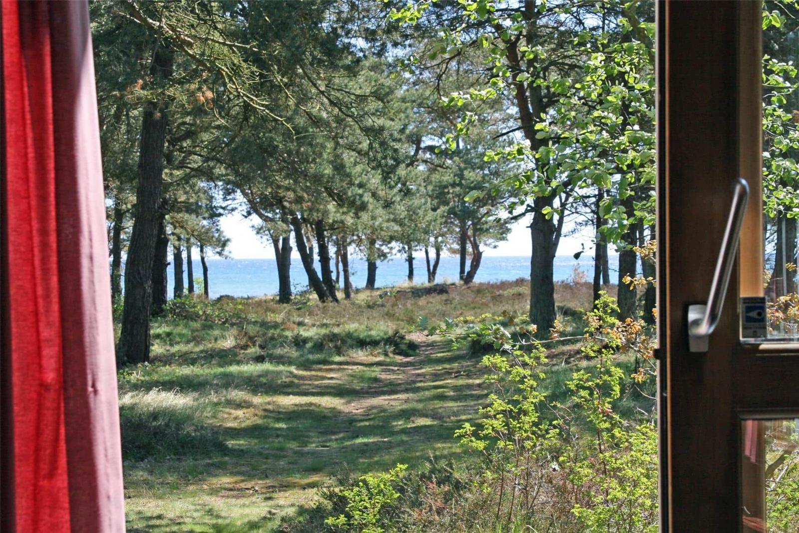 Durch eine Tür blickt man auf einen Waldweg, der zum Meer führt.