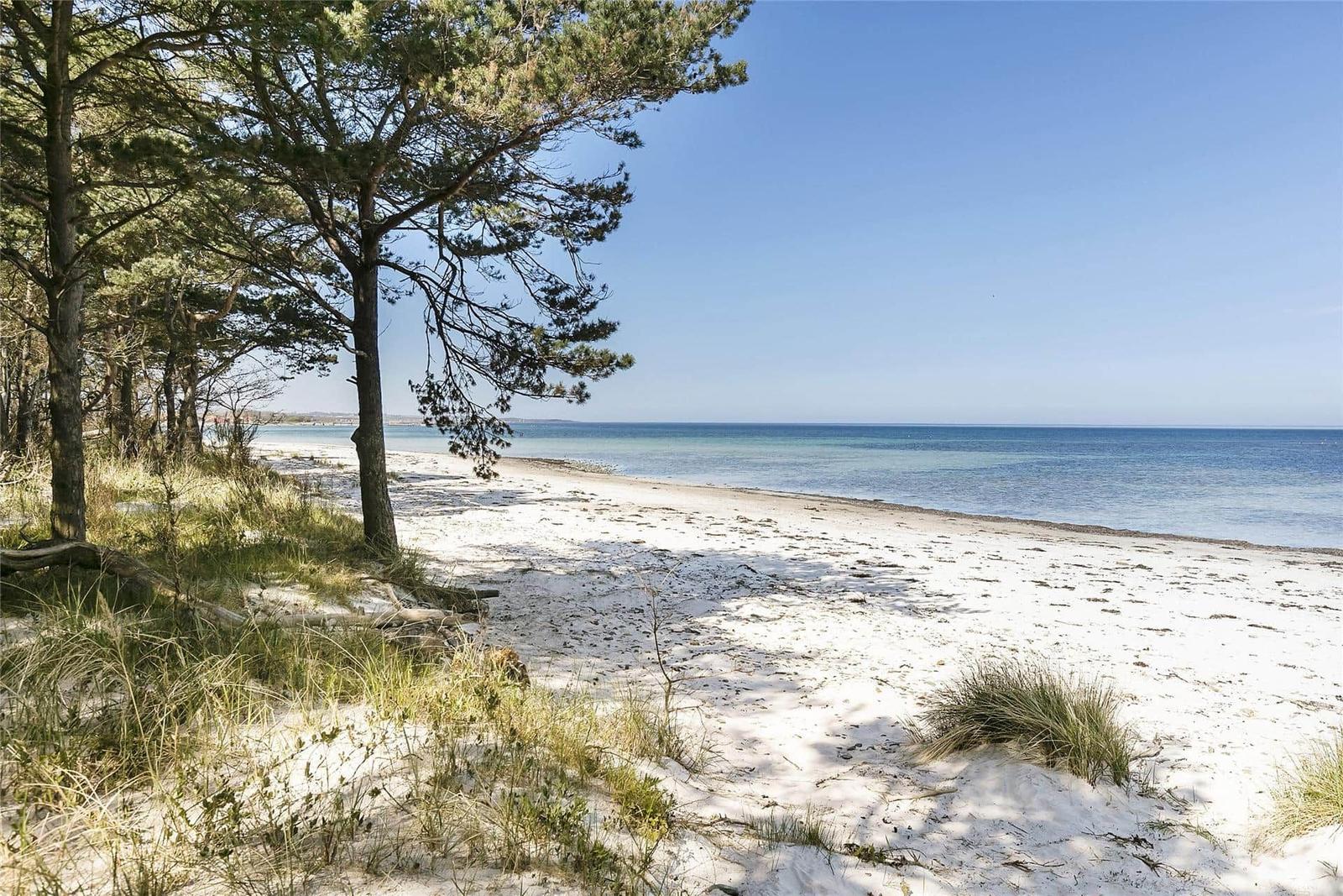 Weißer Sandstrand mit Bäumen und Meer unter blauem Himmel.