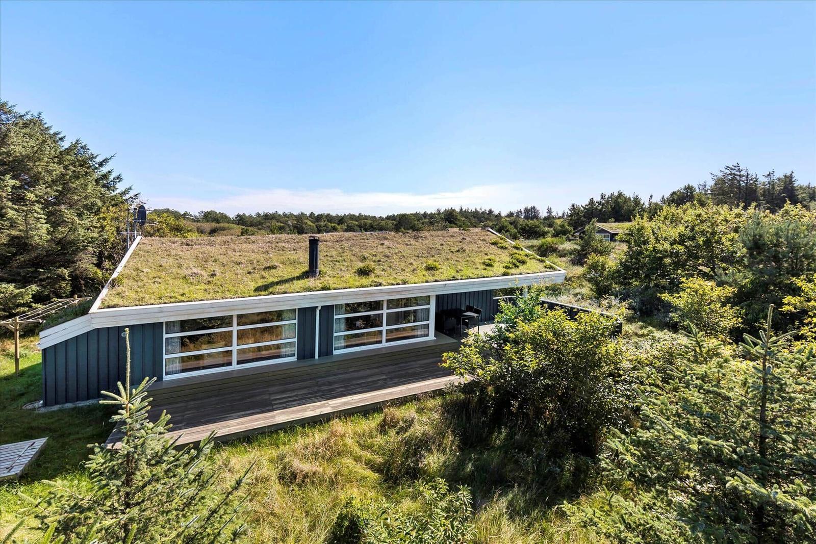 Modern cabin with grass roof and wooden terrace in green surroundings