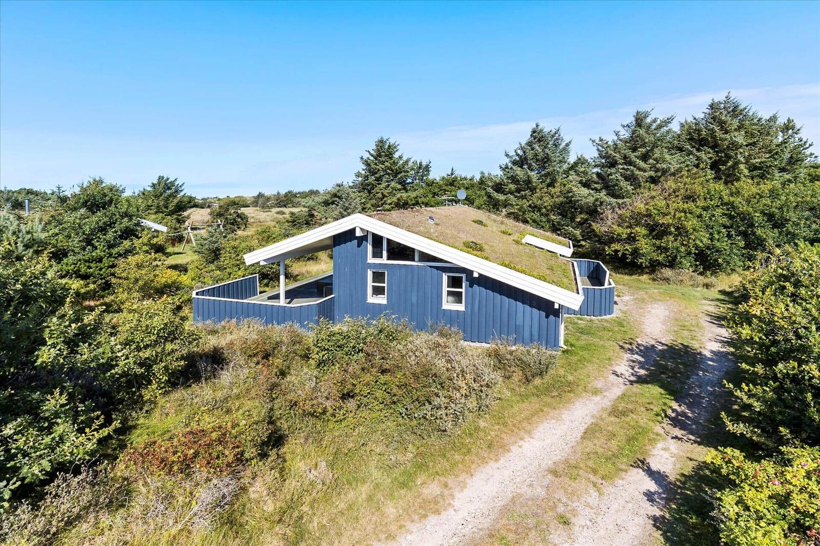 Blue wooden house with green roof, surrounded by forest and grass.