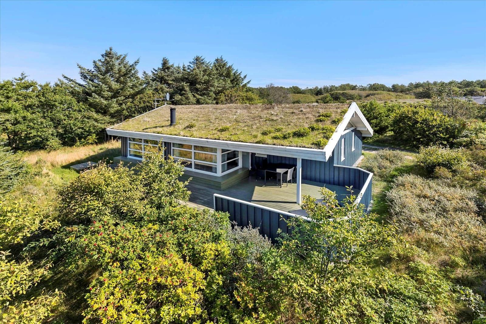 A house with a green roof and terrace surrounded by trees and shrubs.
