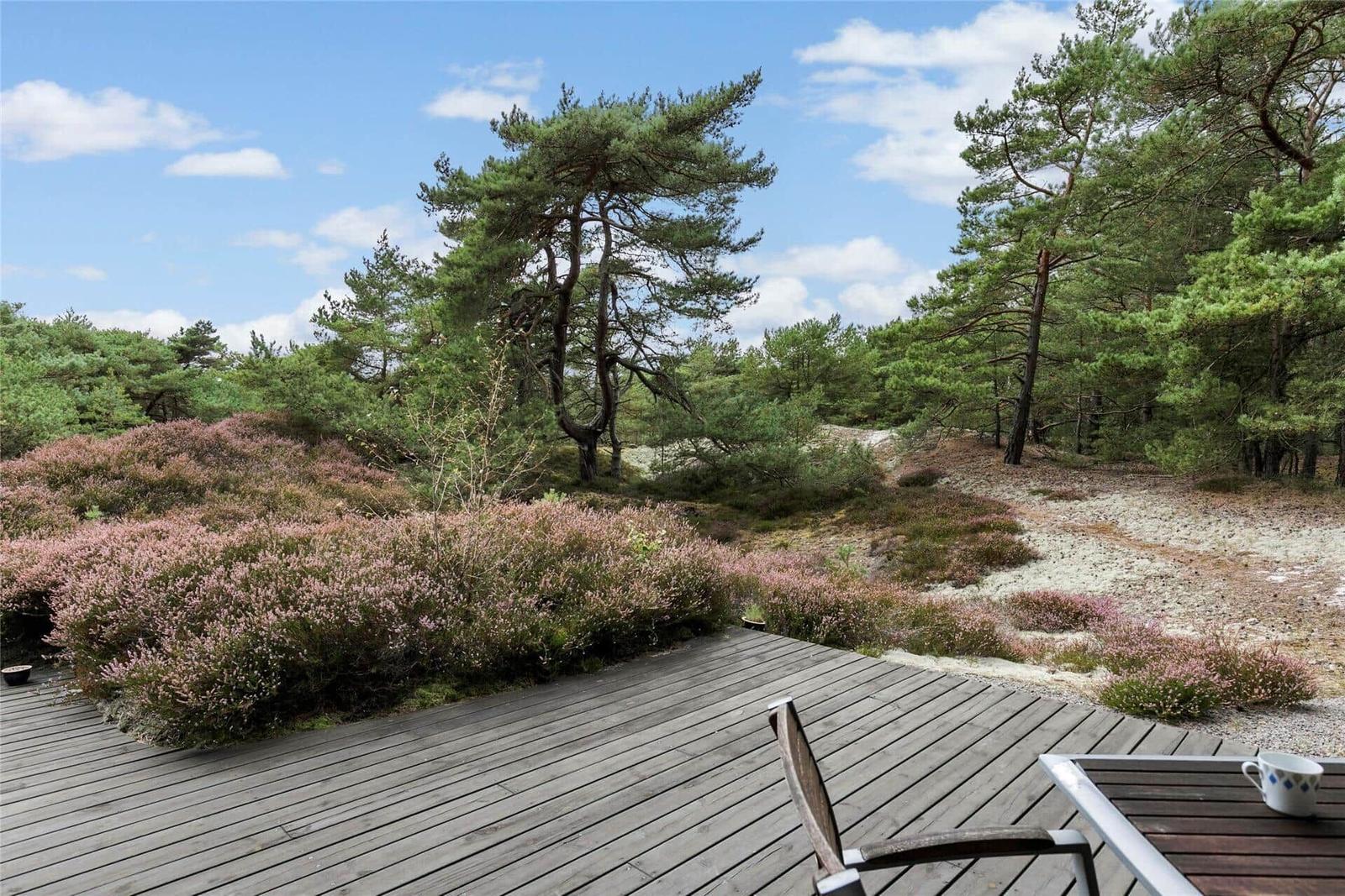 Holzterrasse mit Blick auf Heide und Nadelbäume unter blauem Himmel.