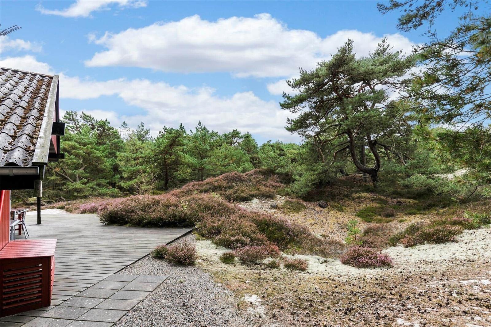 Haus mit Terrasse, umgeben von Nadelbäumen und Heideflächen unter blauem Himmel.