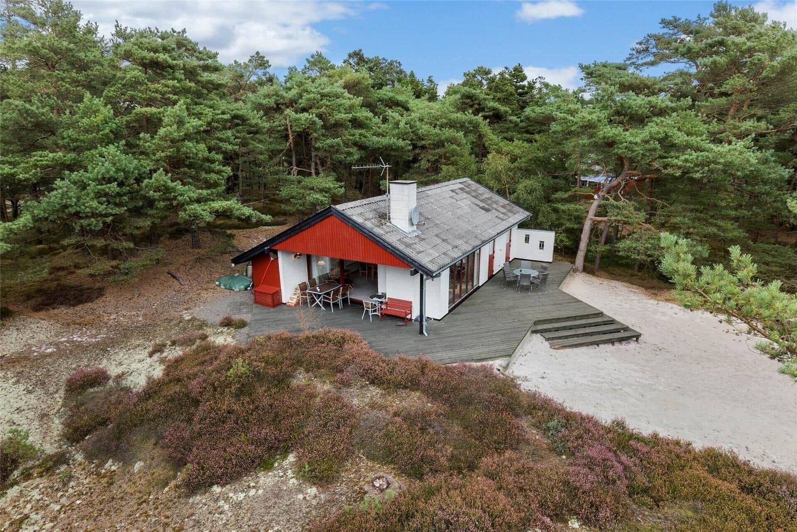 Einhaus mit Terrasse im Wald, umgeben von Nadelbäumen und Heide.