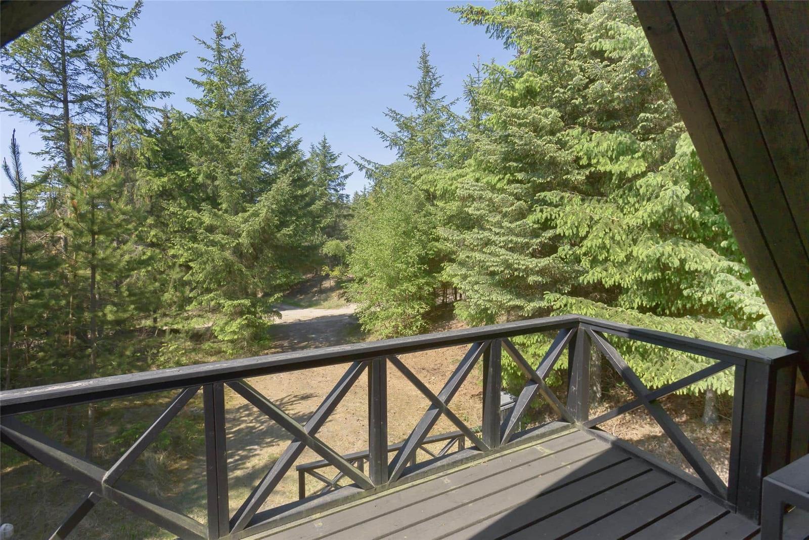 Terrasse mit Blick in einen Wald mit Nadelbäumen und einem Pfad.