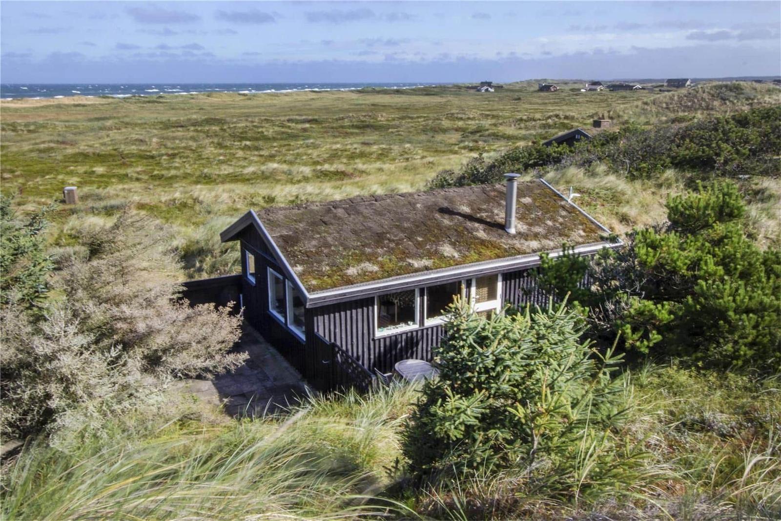 Wooden cabin with moss roof in dunes, sea view.