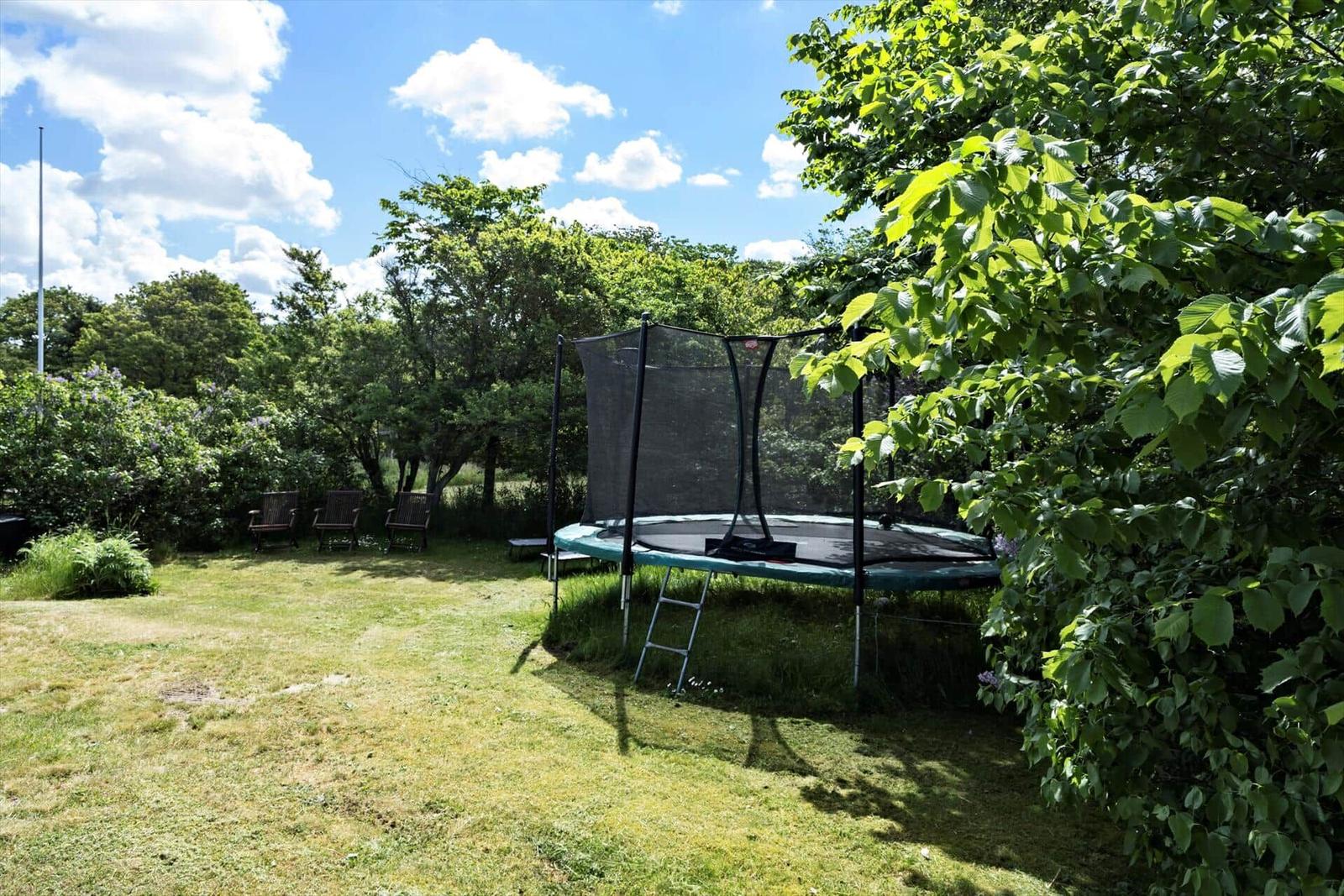 Hinterhof mit Trampolin, Sitzgelegenheiten und Bäumen unter blauem Himmel.