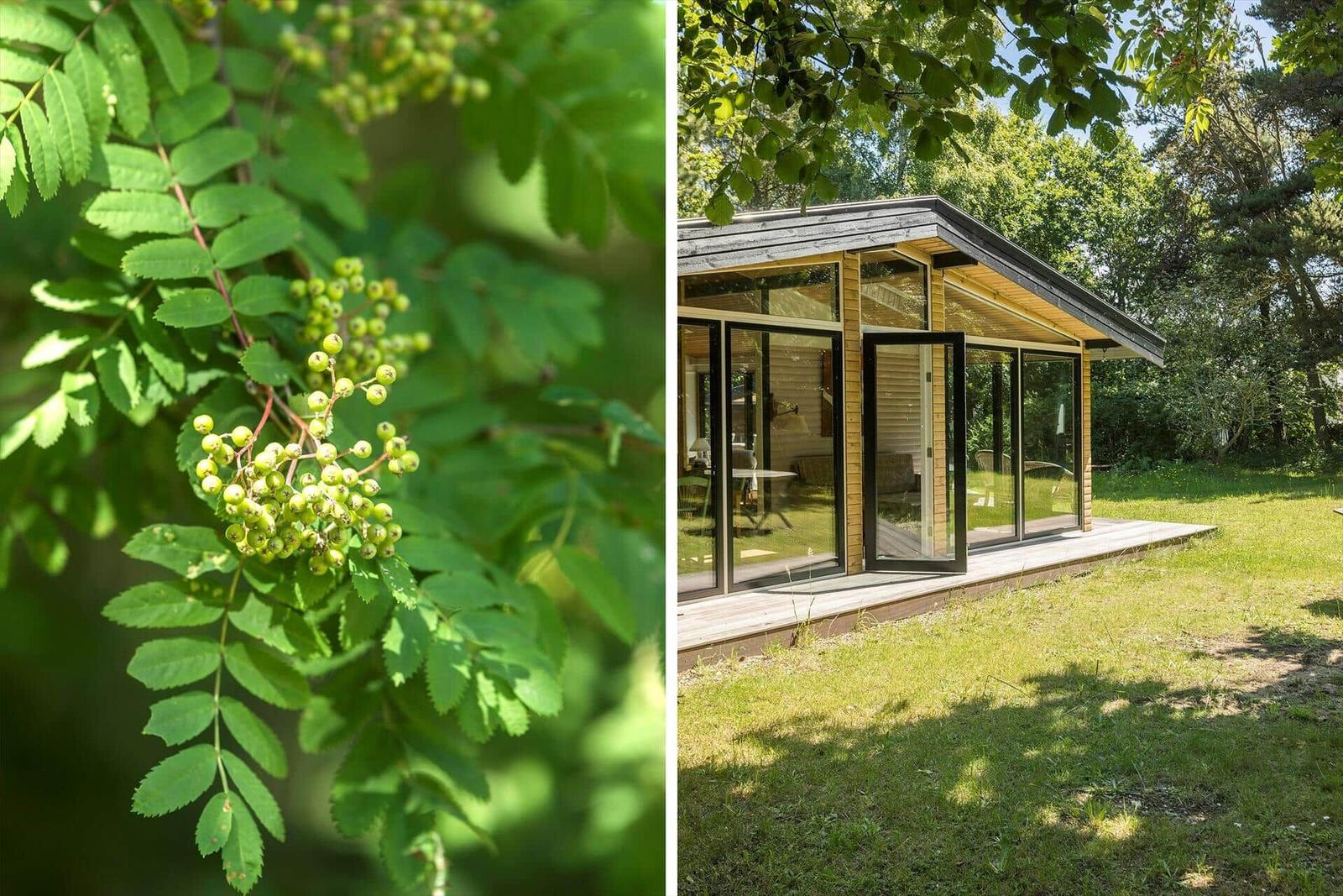 Moderne Holzhütte mit Glasfront im Grünen