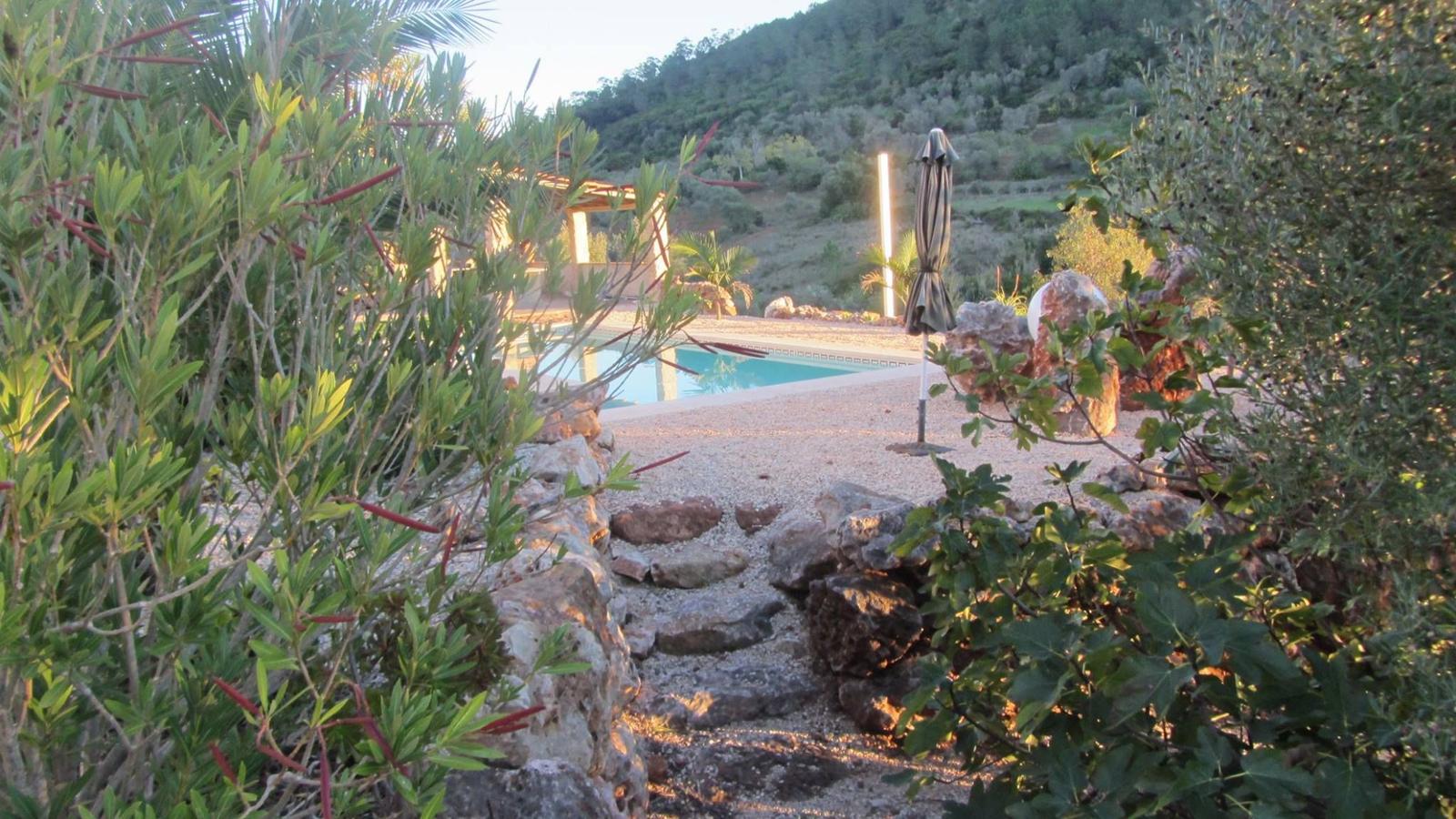 Poolsbereich mit Sonnenschirm und Steinweg zwischen Pflanzen