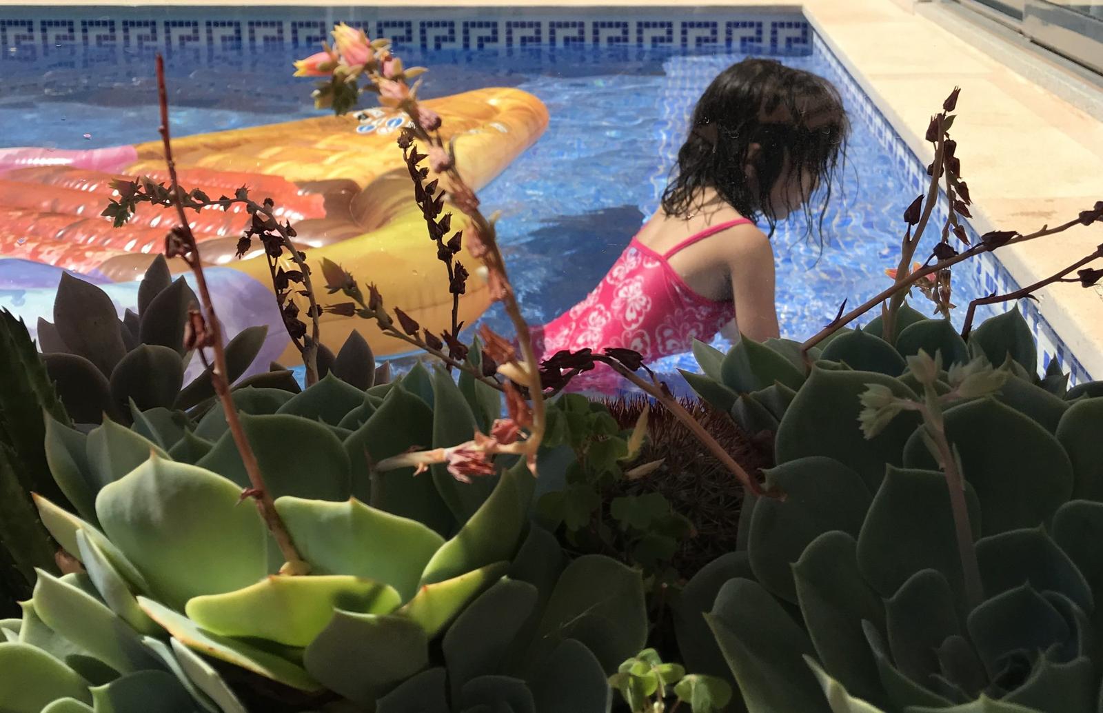 Ein Kind im Pool mit einem aufblasbaren Fisch. Vordergrund: Sukkulenten.