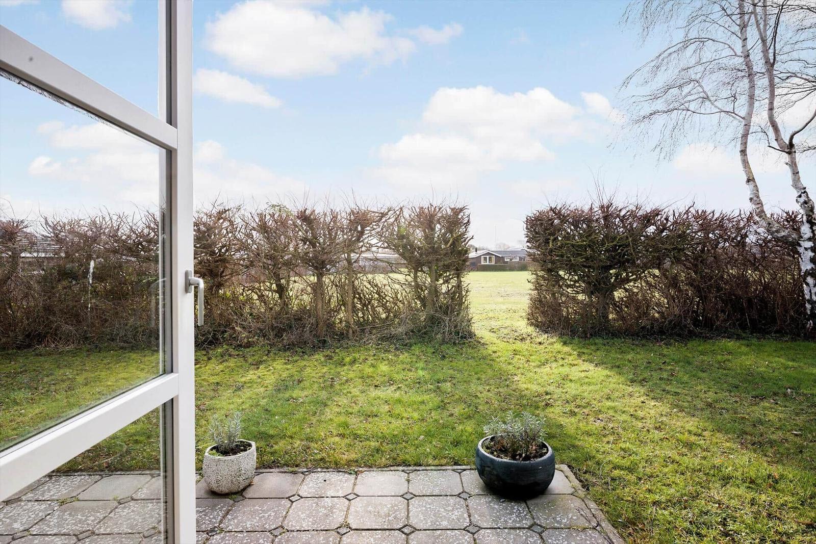 Von der Terrasse blickt man auf einen grünen Garten mit Hecken und einem Birkenbaum.
