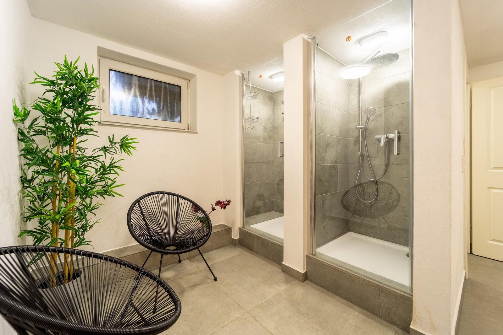 Badezimmer mit Dusche, Pflanze und zwei Stühlen.