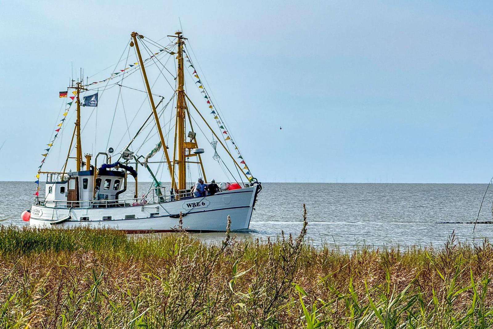Fischerboot mit Masten und Flaggen liegt im Wasser vor Gras.