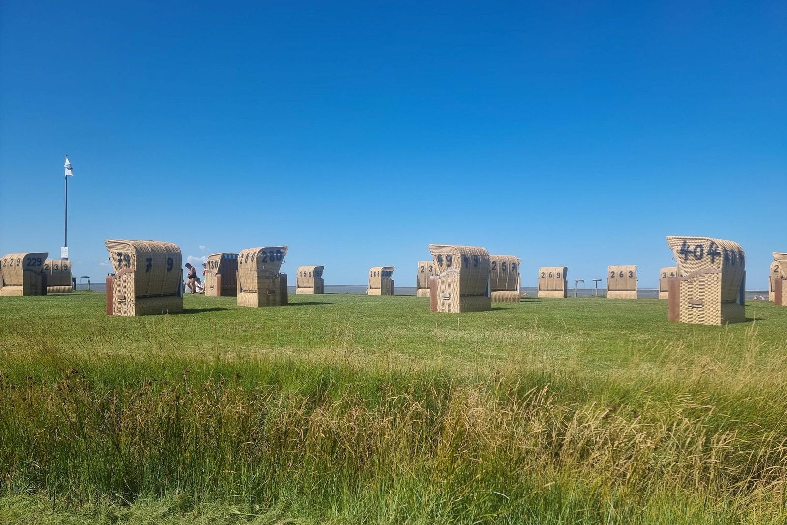 Grasfläche mit Strandkörben und klarem Himmel