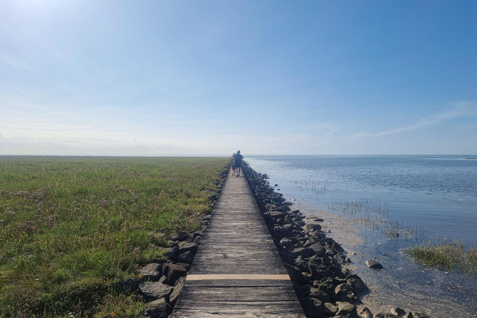 Holzweg führt entlang Wasser und Grasland. Personen gehen in Richtung Horizont.
