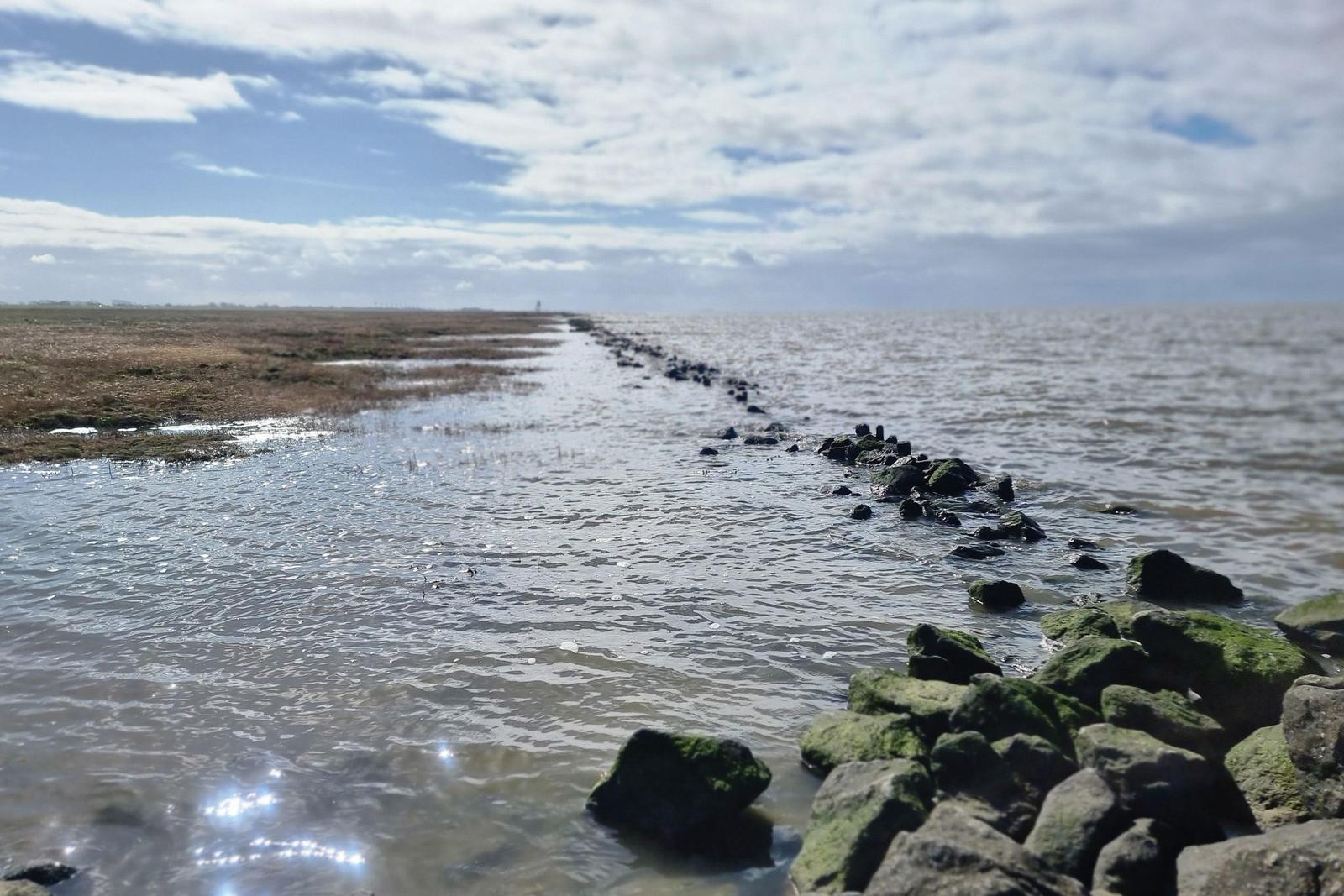Wasserlinie mit Steinen und Wattland unter bewölktem Himmel.