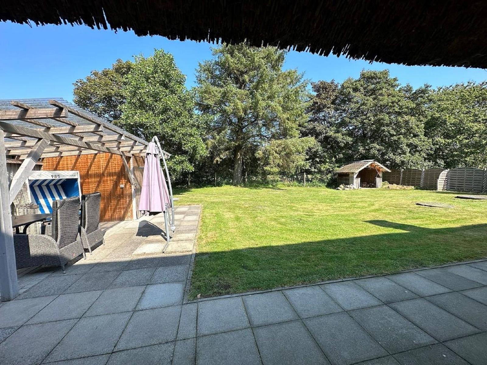 Terrasse mit Sitzgelegenheiten und Grillplatz im Garten. Hintergrund: Wald und Holzgarage.