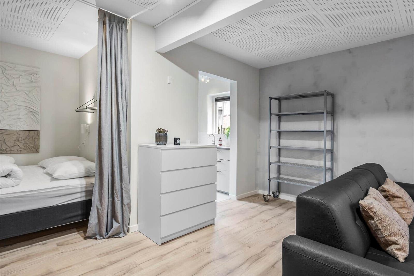 Schlafzimmer mit Bett und Vorhang. Wohnbereich mit Sofa und Regal. Küche im Hintergrund.