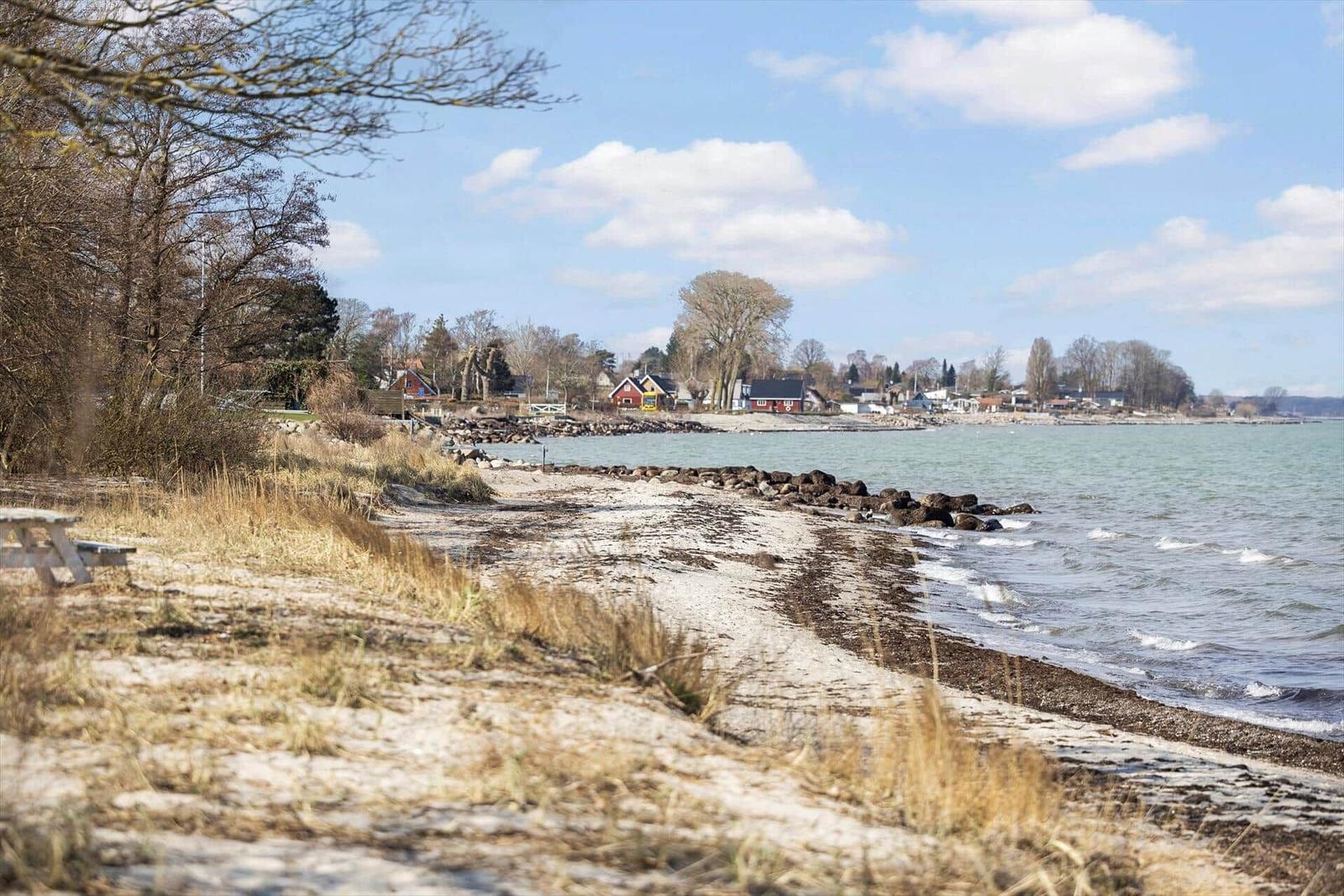 Strand mit Steinen und Bäumen, Blick auf Häuser am Wasser.