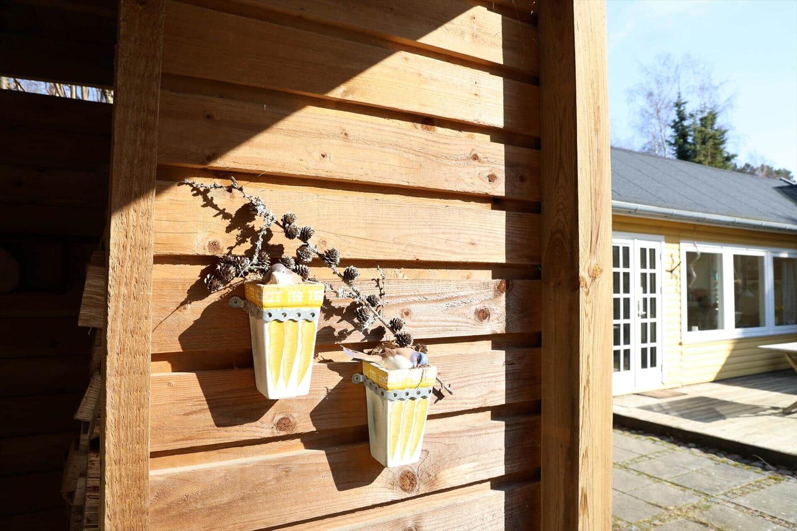 Zwei gelbe Vogelfutterhalter an einer Holzwand mit Kiefernzweigen.
