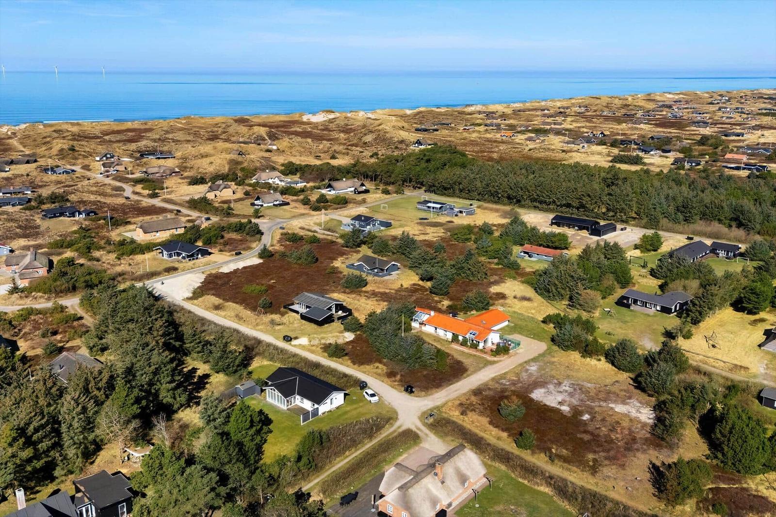 Aeriale Aufnahme einer Wohngegend mit Häusern, Wegen und Wald am Meer.