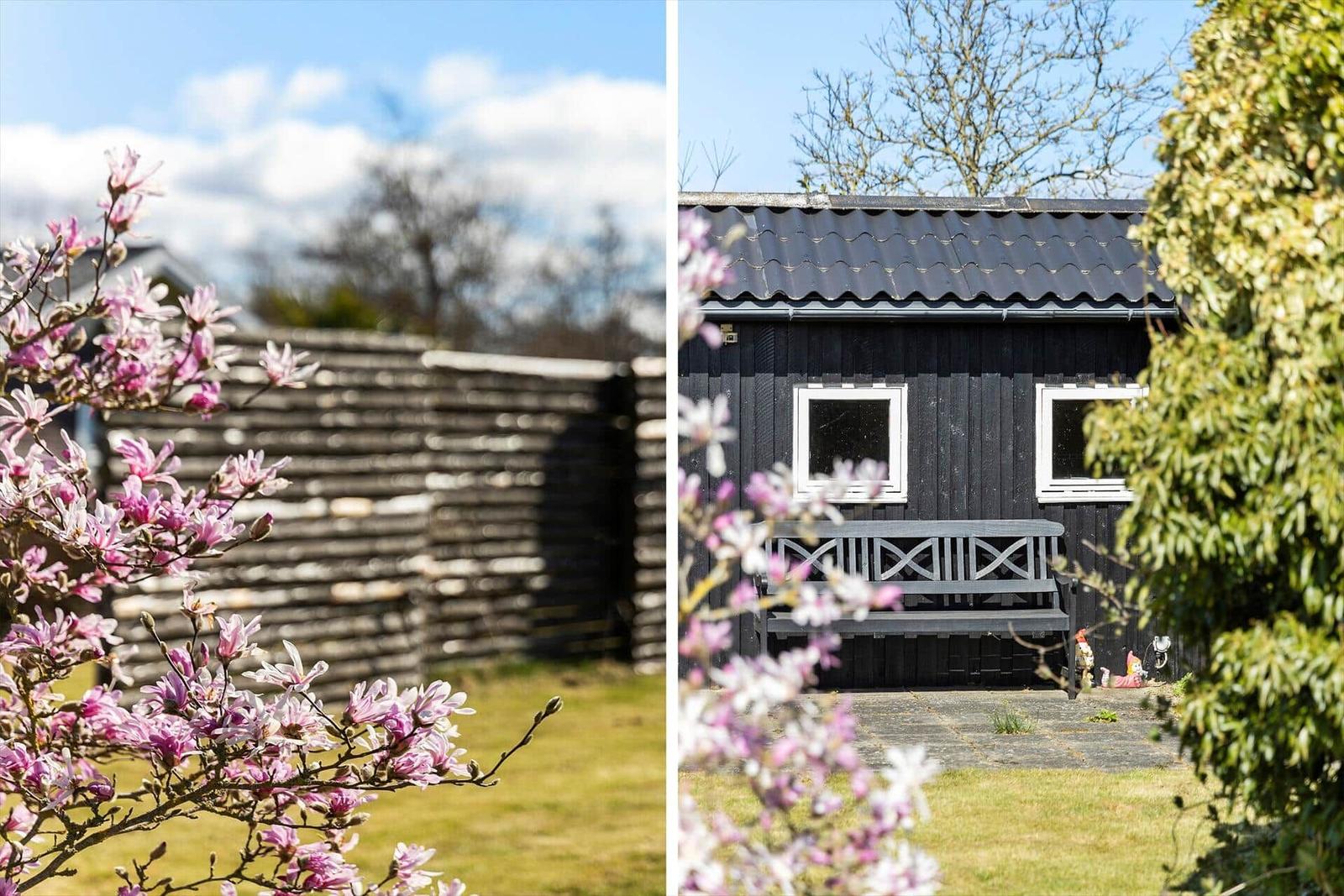 Schwarzes Holzhaus mit Bank und Fenstern, umgeben von blühenden Magnolien und Grün.
