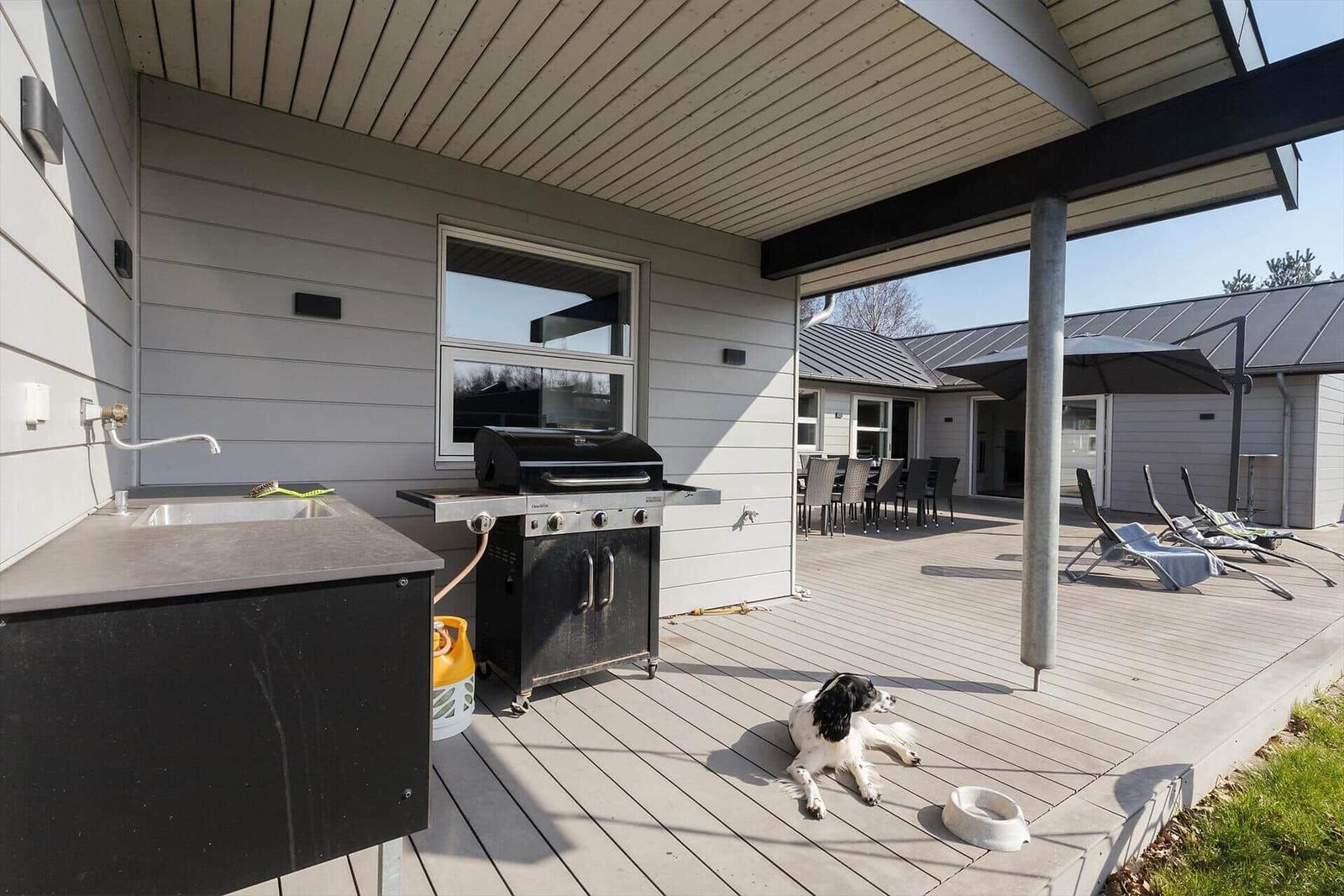 Terrasse mit Grill, Waschbecken und Hund. Liegestühle und Tisch unter Sonnenschutz.