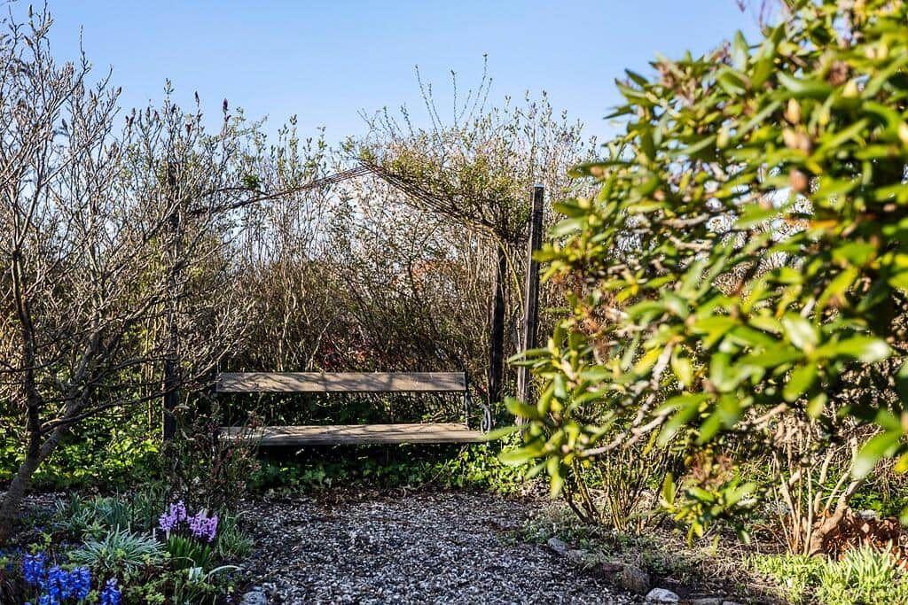 Holzbank im Garten unter Bäumen und Sträuchern mit Kiesweg.