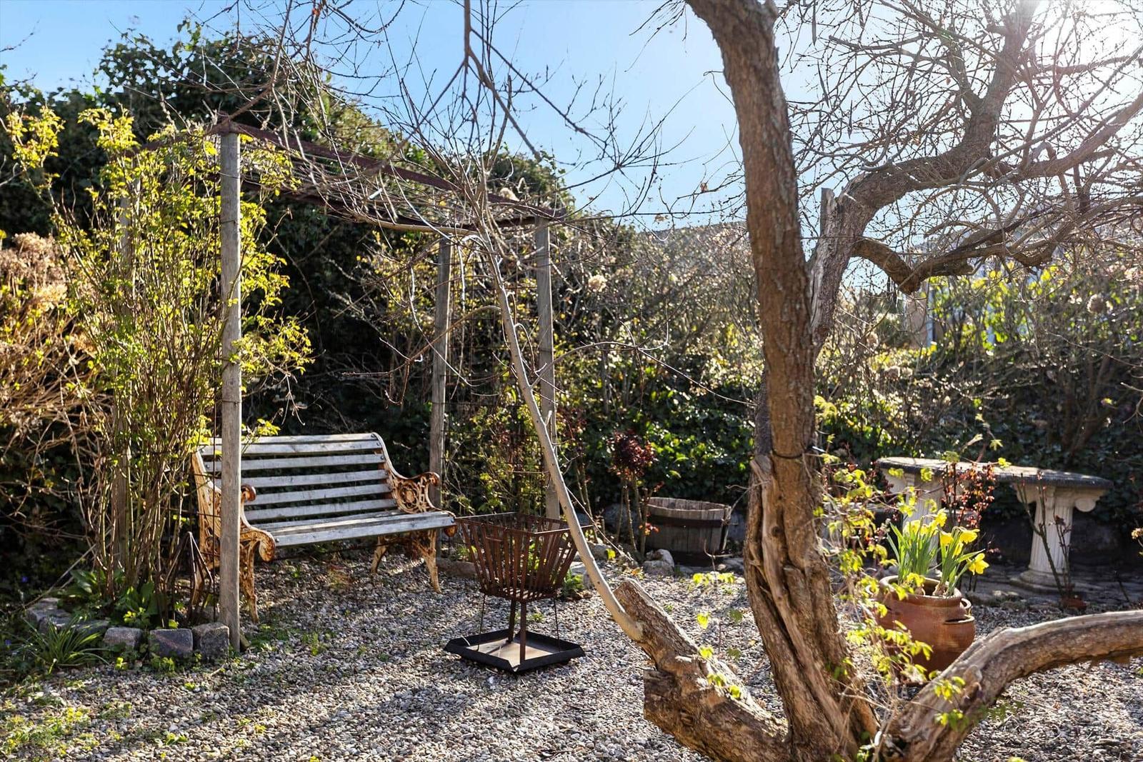 Garten mit Holzbank, Feuerkorb und Pflanzen unter Bäumen.