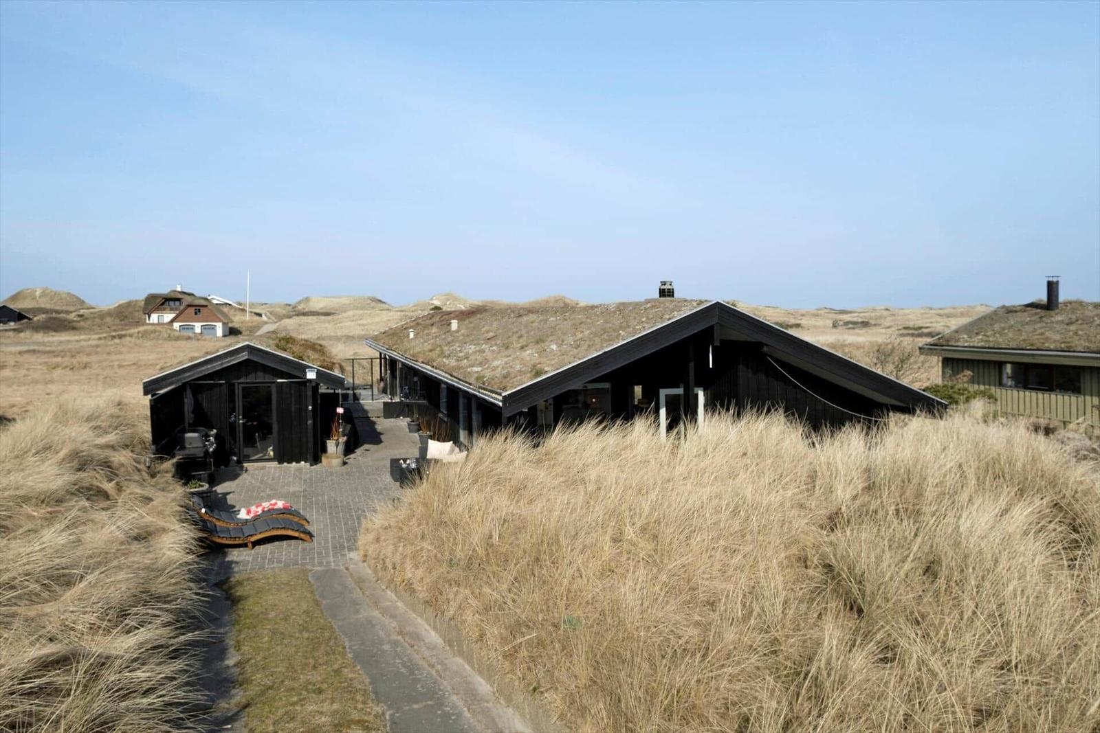 Moderne Holzhäuser mit Grasdächern in Dünenlandschaft
