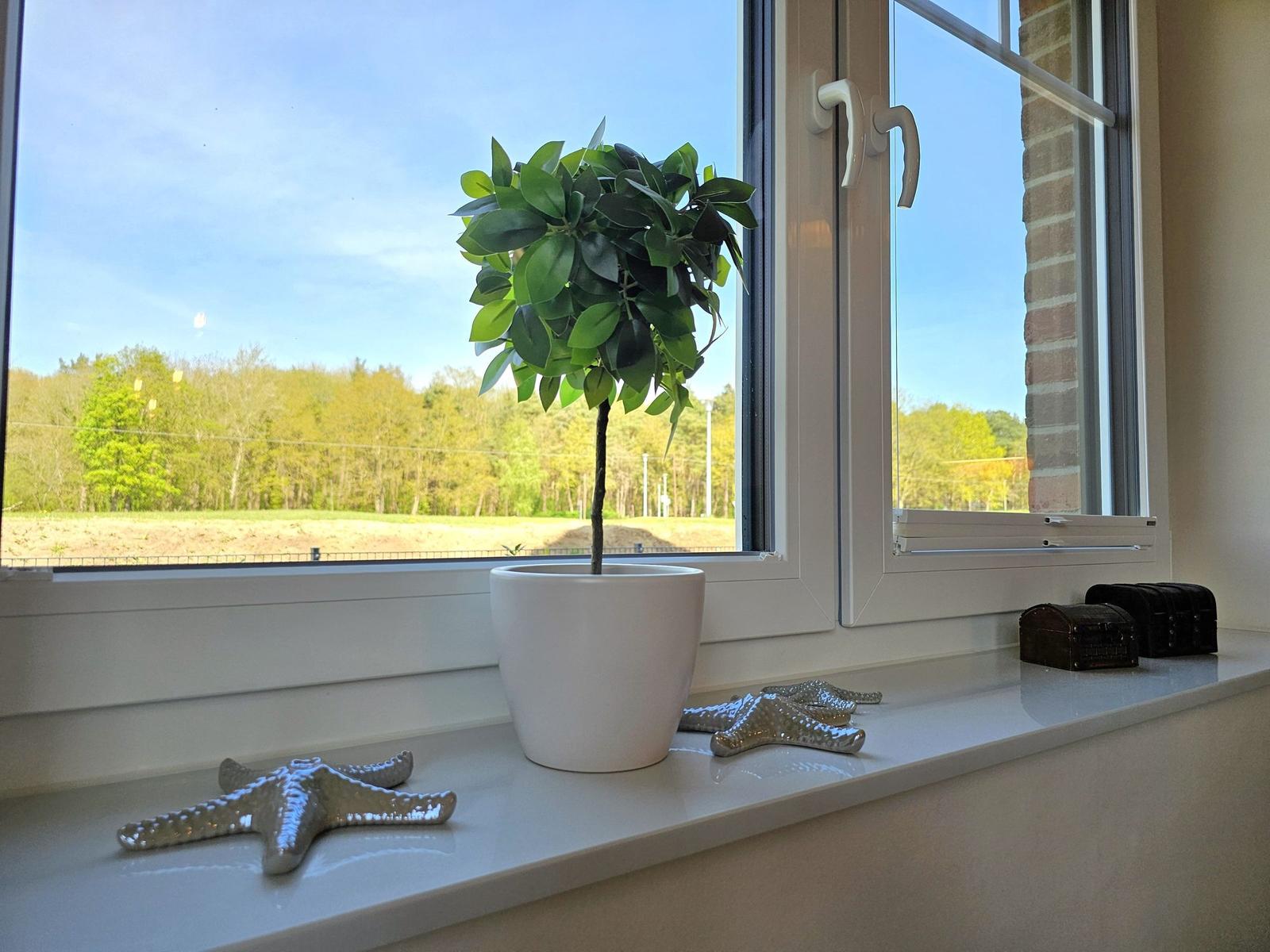 Fensterbrett mit Pflanze und Seesternen. Blick auf Wald und Feld.