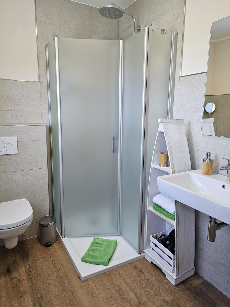 Bad mit Dusche, Waschbecken und Toilette. Holzboden und Spiegelschrank.