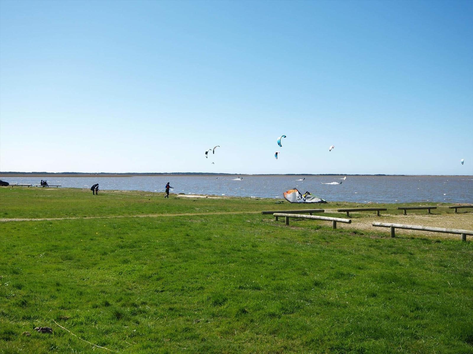 Grüner Strandbereich mit Kitesurfern und bunten Kites am Horizont.